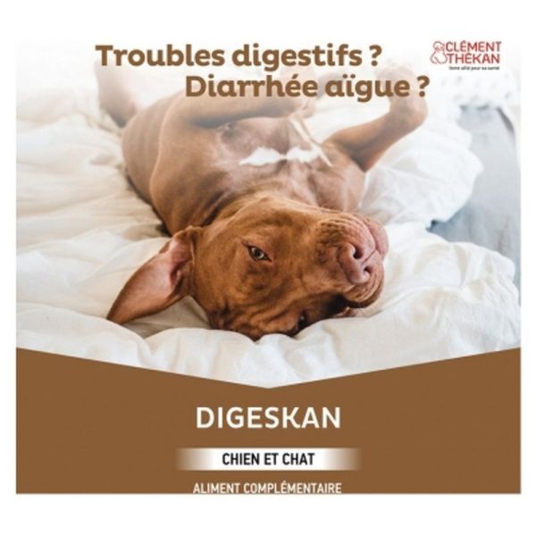 Digeskan Pâte orale - 60ml