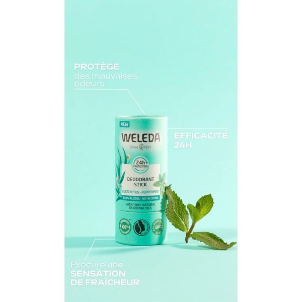 Déodorant solide 24H Eucalyptus Menthe poivrée - Duo