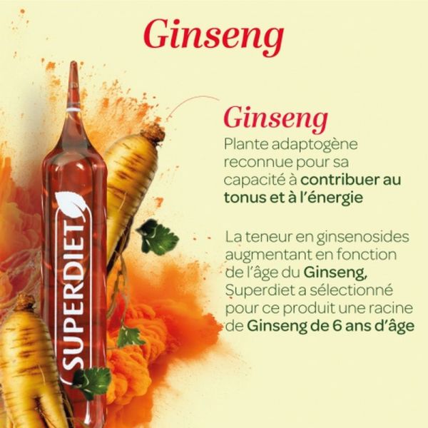 Ginseng Panax Bio - 20 ampoules