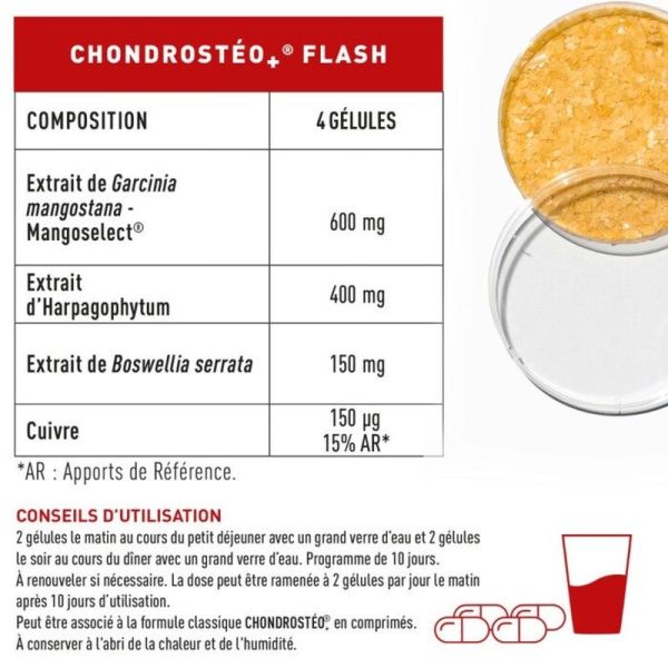 Chondrostéo+ Chondrostéo+ Flash - 600 mg