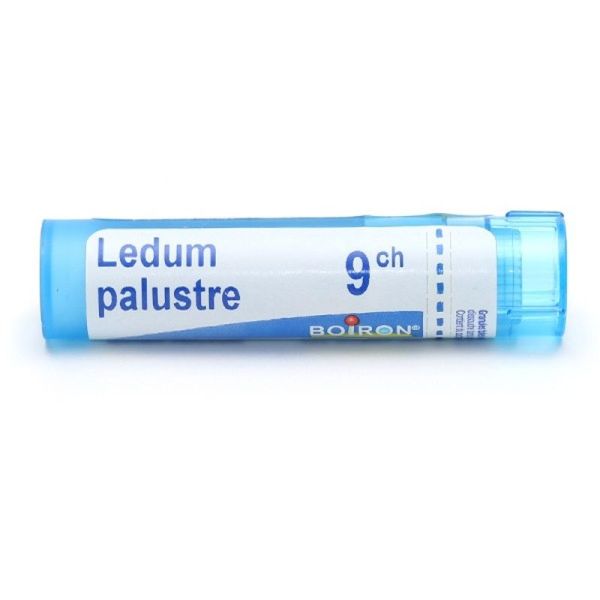 Boiron Ledum palustre granules - 9 CH
