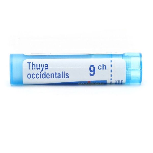 Thuya occidentalis granules - 9 CH