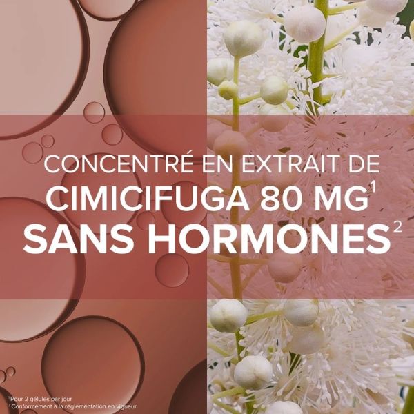 Cimicifuga - 60 gélules