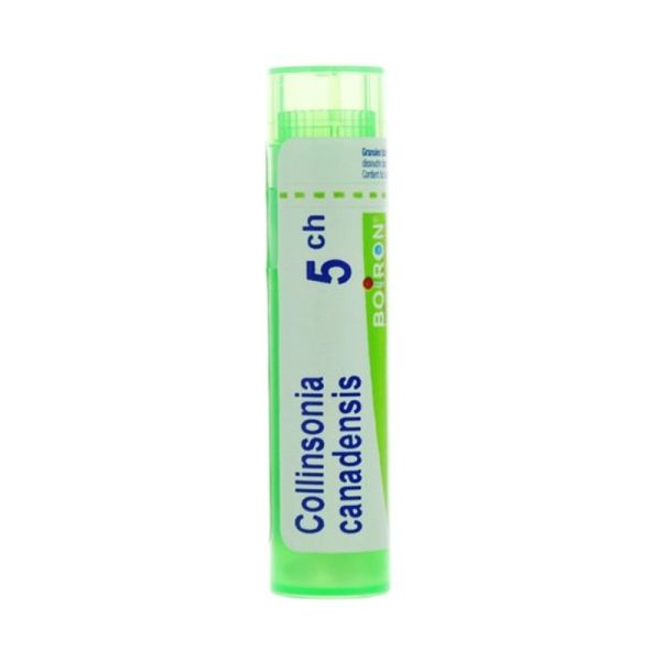 Boiron Collinsonia Canadensis granules - 5 CH