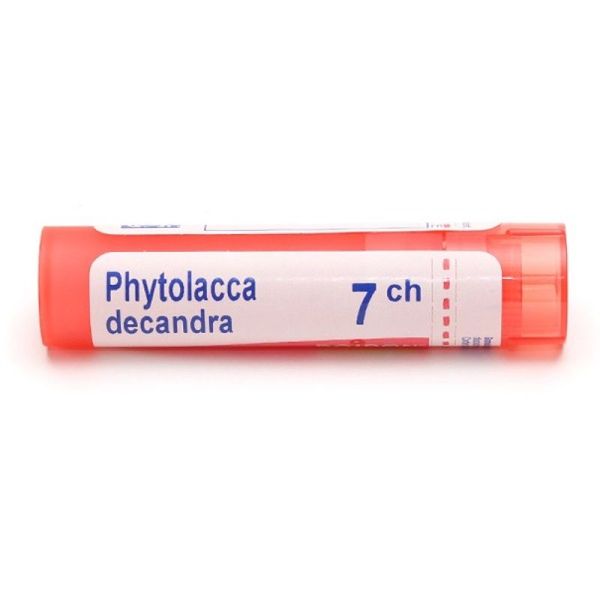 Boiron Phytolacca decandra granules - 7 CH
