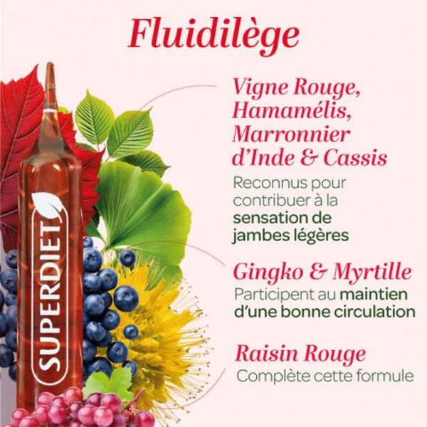 Fluidilège Bio - 20 ampoules