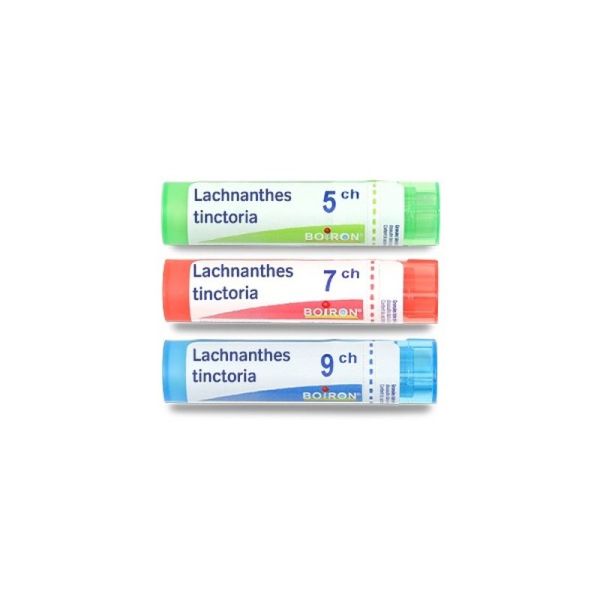 Boiron Lachnanthes tinctoria granules - 5 CH