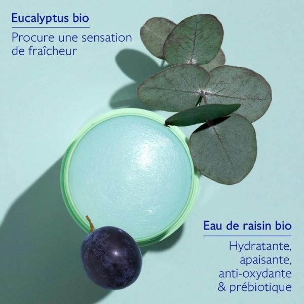 Déodorant Stick Naturel Vinofresh