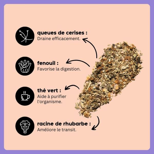 wander detox express - Pêche - 1 sachet
