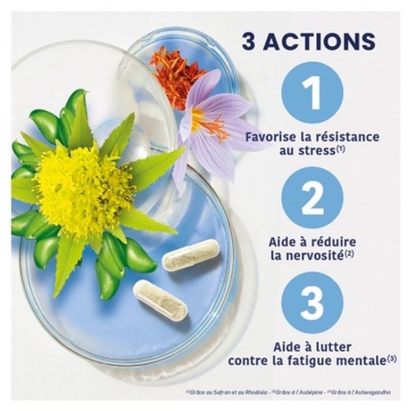 Stress Control Bio Ampoules - 20x10ml