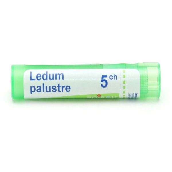 Boiron Ledum palustre granules - 5 CH