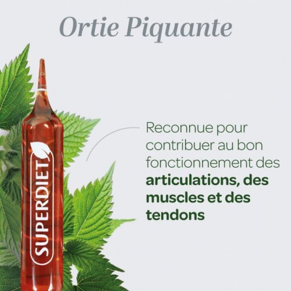 Ortie Piquante Bio - 20 ampoules