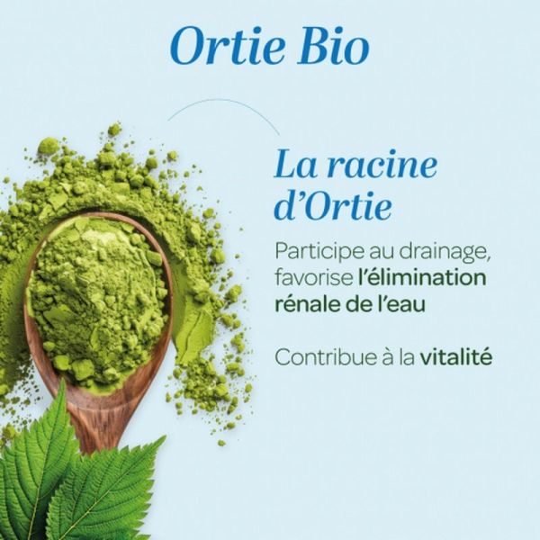 Ortie Bio poudre - 200 g