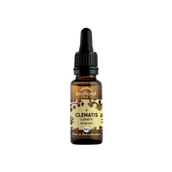 Clematite N9 - 20ml