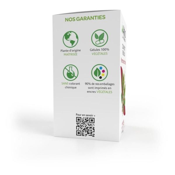 Arkogélules® Marronnier d'Inde - 150 gélules
