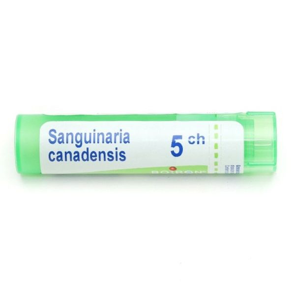 Boiron Sanguinaria canadensis granules - 5 CH