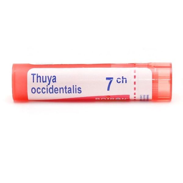 Thuya occidentalis granules - 7 CH
