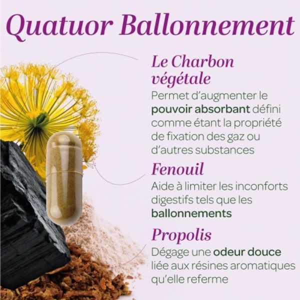 Quatuor Ballonnements - 150 gélules
