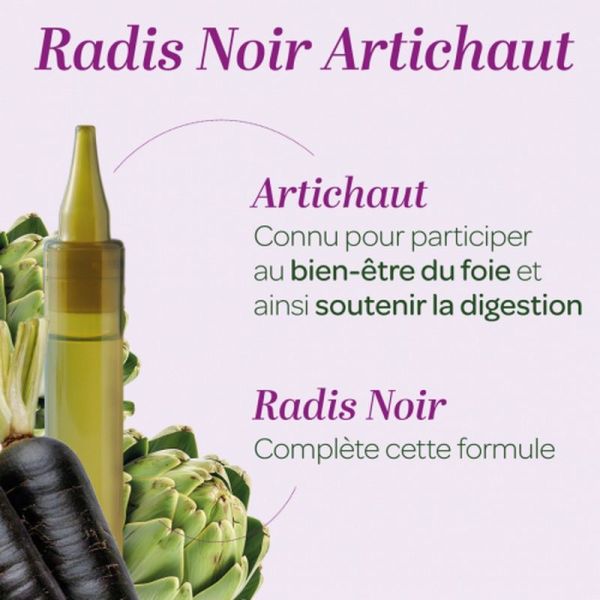 Radis noir Artichaut Bio - 20 unidoses