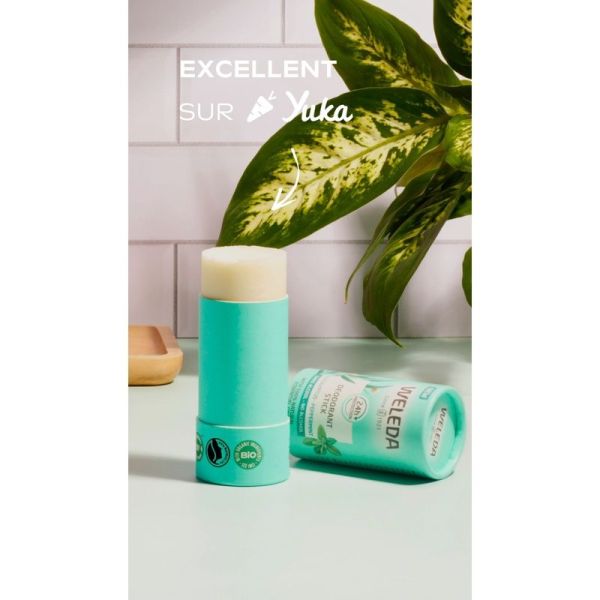 Déodorant solide 24H Eucalyptus Menthe poivrée - Duo