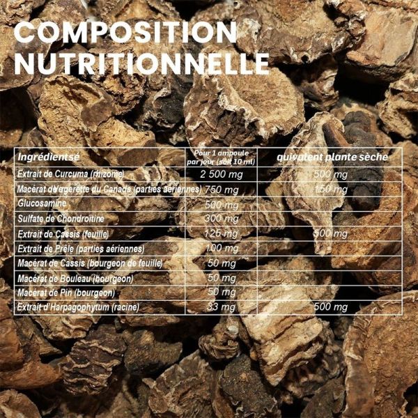 Confort Articulaire - 20 ampoules