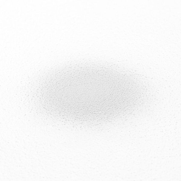 Volume Shampoing sec Volume