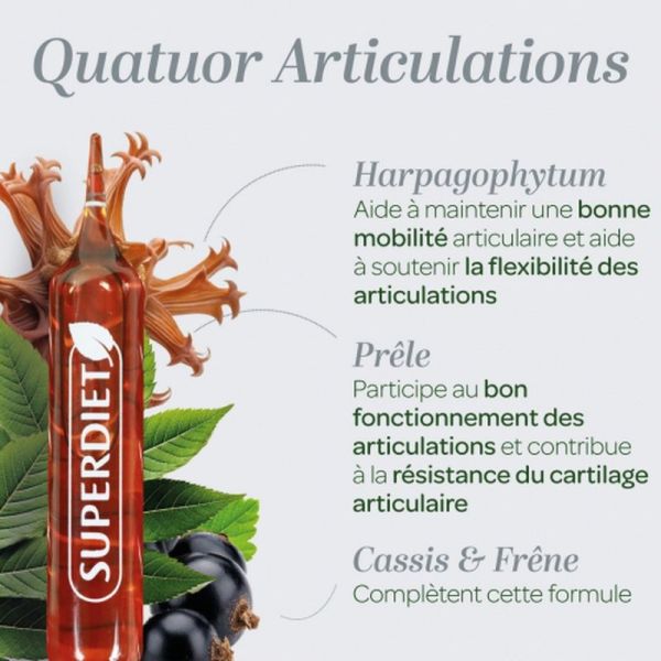 Quatuor Articulations Bio - 20 ampoules