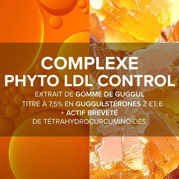 Complexe Phyto LDL Control - 60 gélules