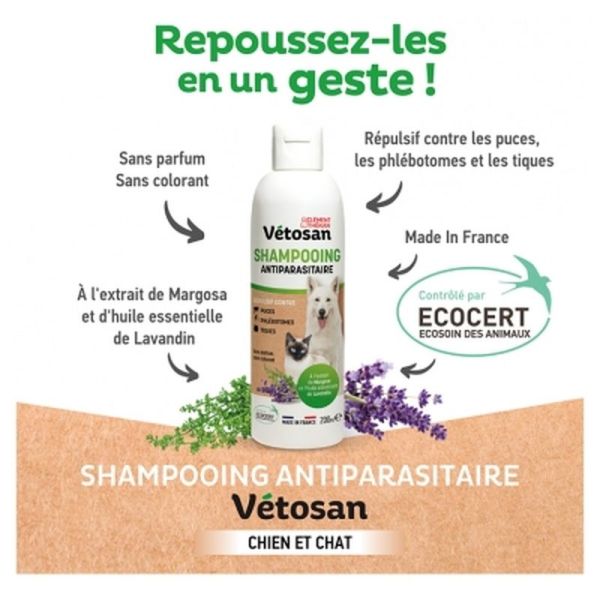 Clement Vtsn Shamp A/Paras 200Ml