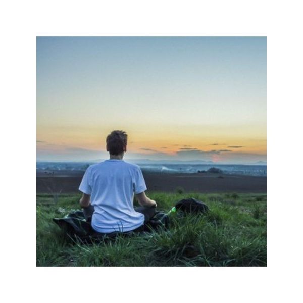 Zen Bio Diffusion - 30ml