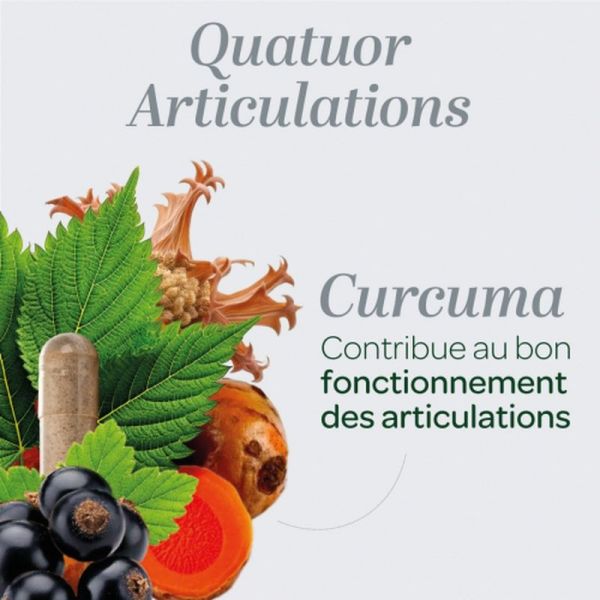 Quatuor Articulations Bio - 150 gélules
