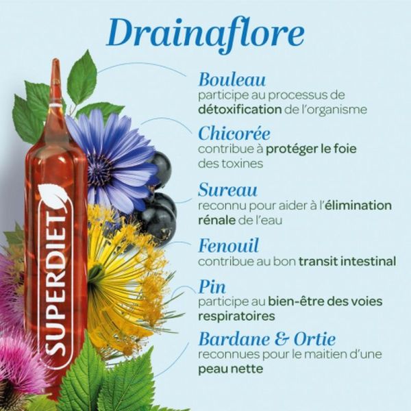 Drainaflore Bio - 20 ampoules