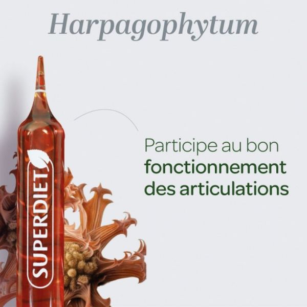 Harpagophytum Bio - 20 ampoules