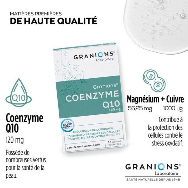 Coenzyme Q10 - 30g