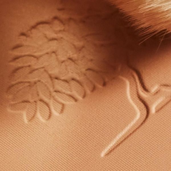 Poudre éclat Prodigieux® - 25g