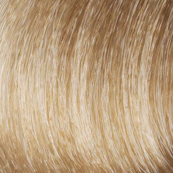 Color et Soin Coloration permanente - 10N blond platine - 60 ml + 60 ml + 15 ml