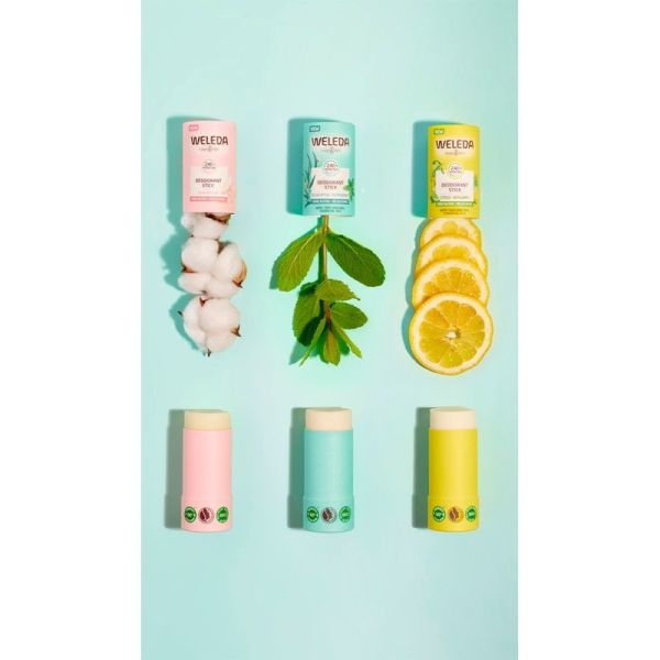 Déodorant solide Citrus Bergamote - Duo
