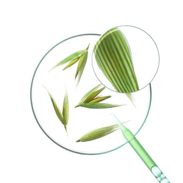 Shampoing à l'Avoine - 400 ml