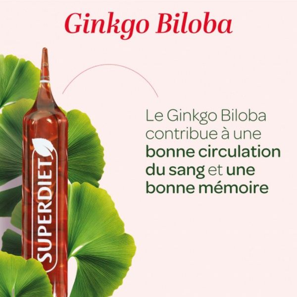 Ginkgo Biloba Bio - 20 ampoules