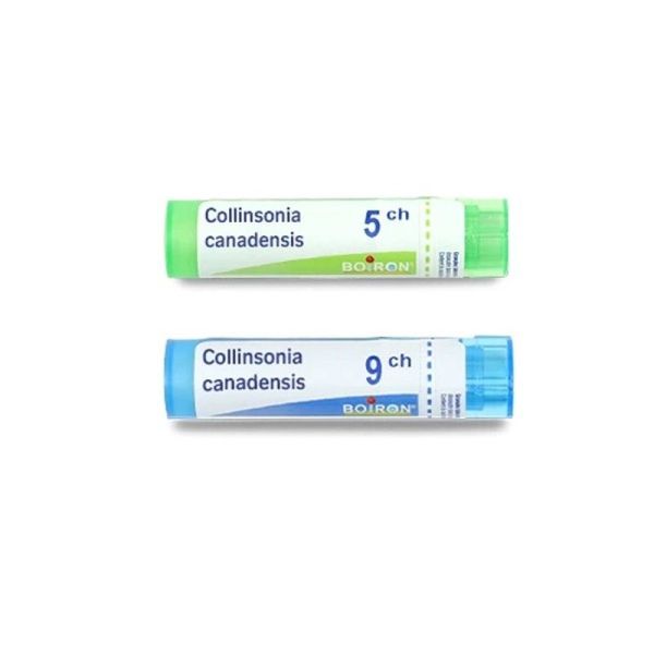 Boiron Collinsonia Canadensis granules - 5 CH