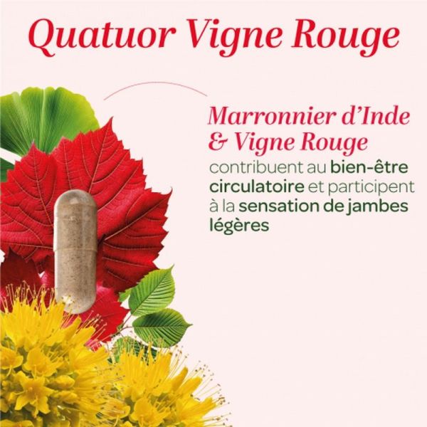 Quatuor Circulation Bio - 150 gélules