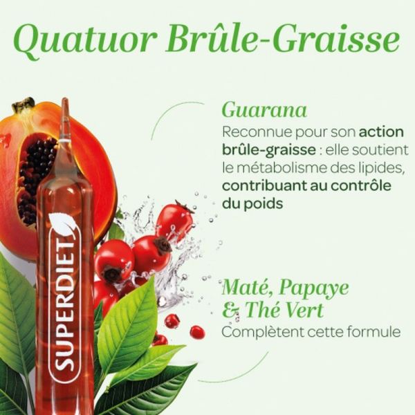 Quatuor Brûle-graisse Bio 20+ - 10 ampoules