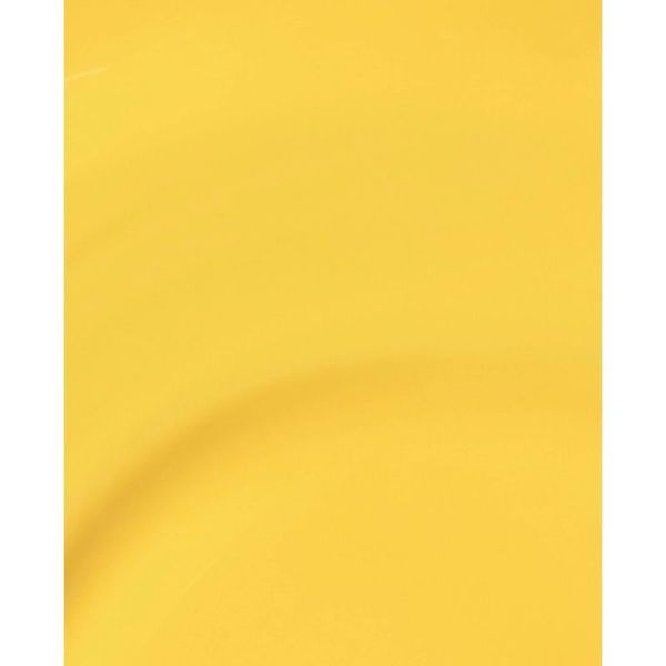Proceed with (No) Caution RapiDry™ Quick-Dry Lacquer - 9 ml
