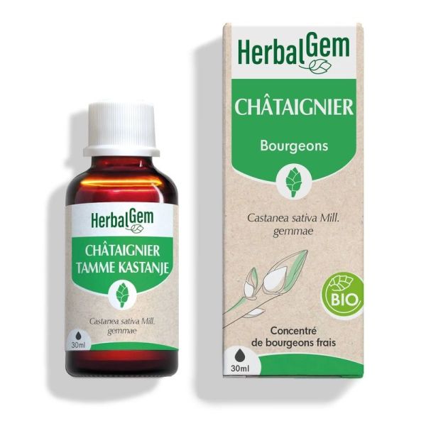 Bourgeon de Châtaignier Bio - 30 ml