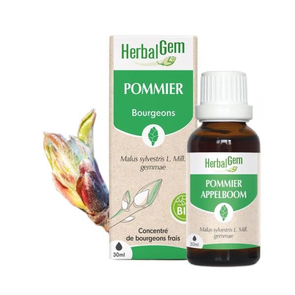 Bourgeon de pommier - Bio - 30 ml