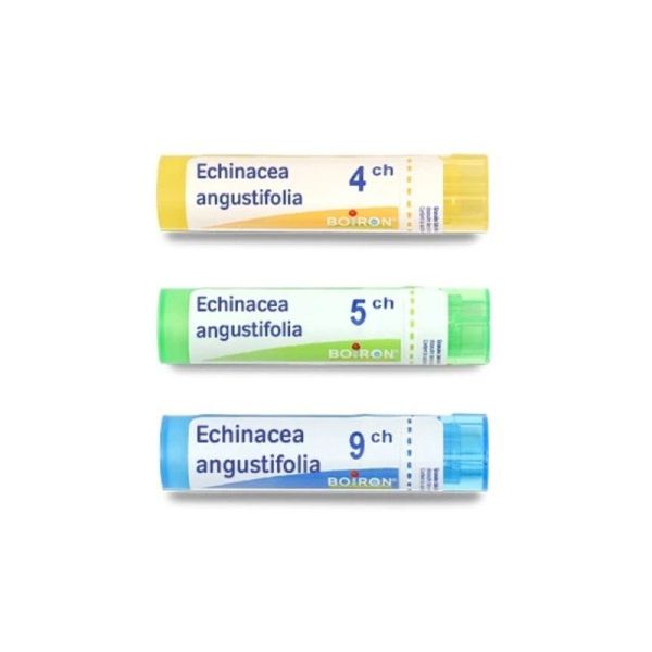 Boiron Echinacea angustifolia granules - 5 CH