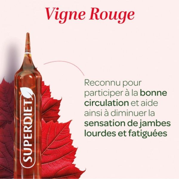 Vigne rouge Bio - 20 ampoules