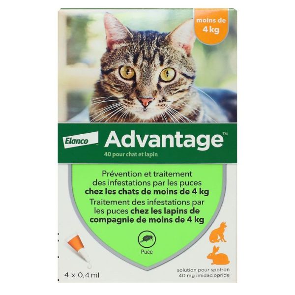 BAYER Advantage 40 Solution Antipuce Pour Chat et Lapin de Moins de 4kg - 4 Pipettes