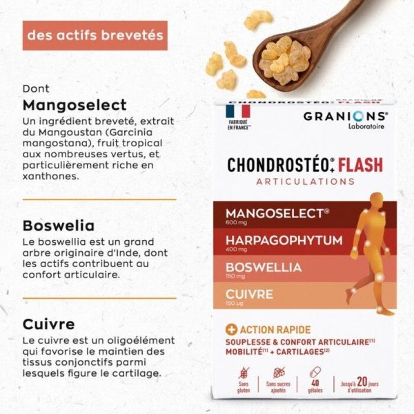 Chondrostéo+ Chondrostéo+ Flash - 600 mg