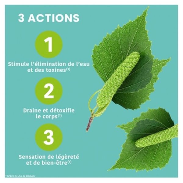 Jus de Bouleau Bio - 200ml
